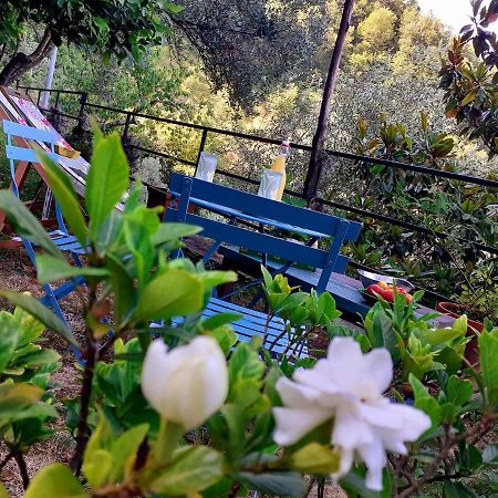 B&B I Glicini Vescina Dış mekan fotoğraf