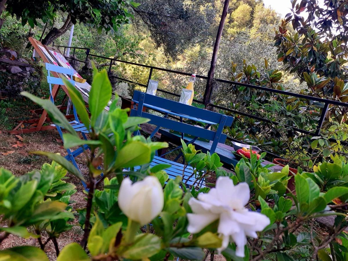 B&B I Glicini Vescina Dış mekan fotoğraf