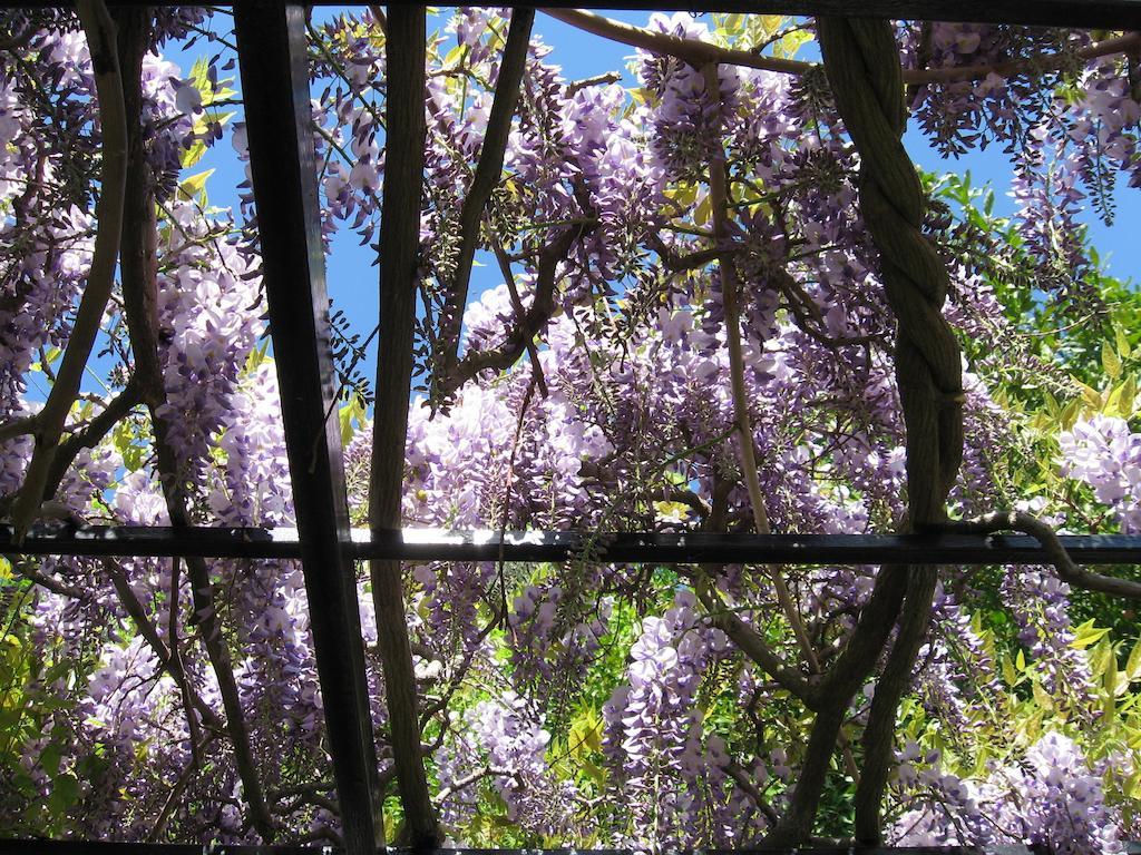 B&B I Glicini Vescina Dış mekan fotoğraf