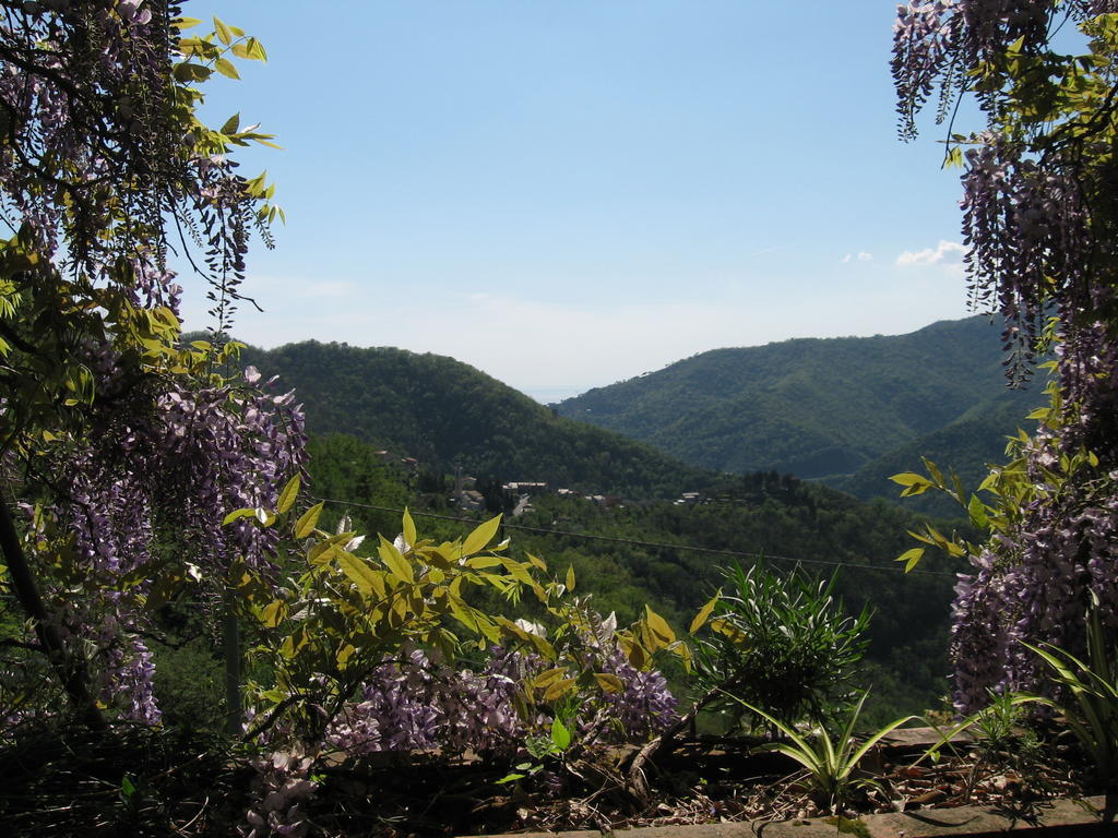 B&B I Glicini Vescina Dış mekan fotoğraf