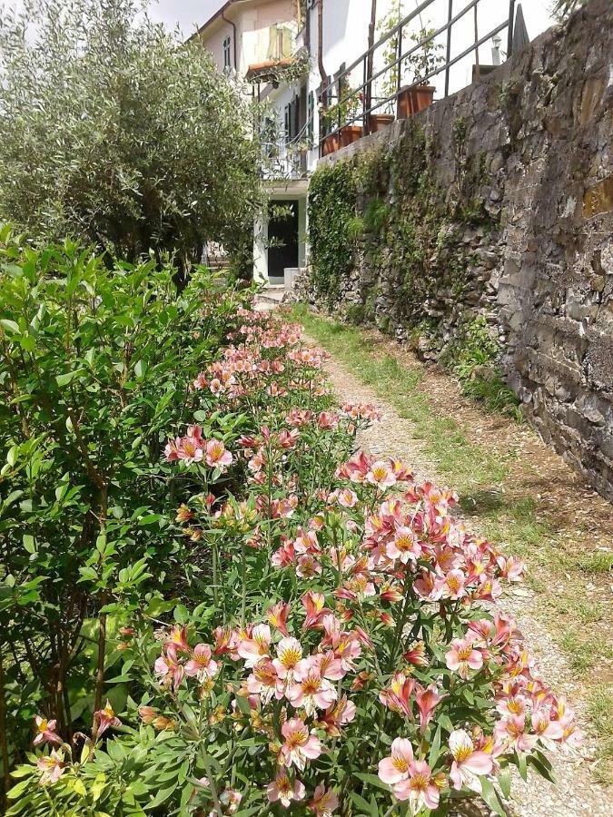 B&B I Glicini Vescina Dış mekan fotoğraf