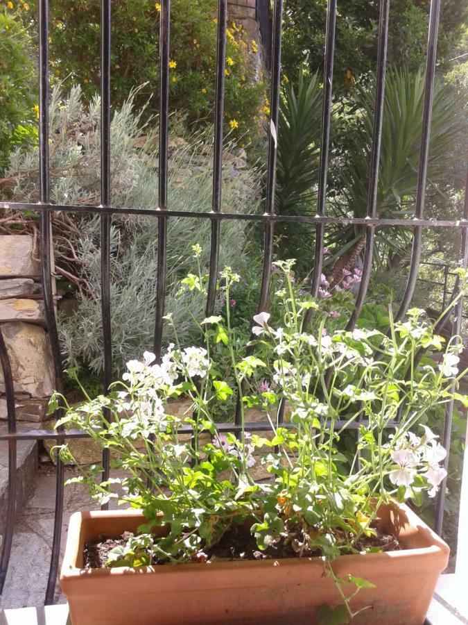 B&B I Glicini Vescina Dış mekan fotoğraf