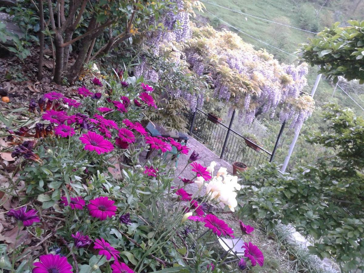 B&B I Glicini Vescina Dış mekan fotoğraf
