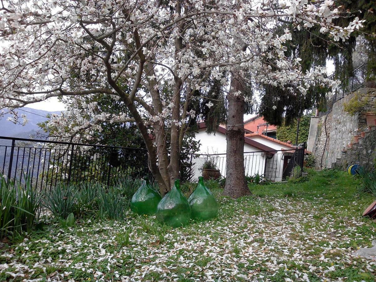 B&B I Glicini Vescina Dış mekan fotoğraf