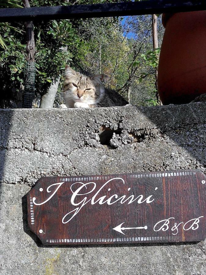 B&B I Glicini Vescina Dış mekan fotoğraf