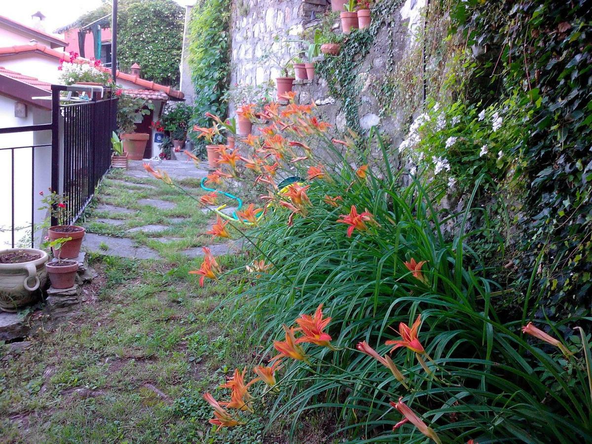 B&B I Glicini Vescina Dış mekan fotoğraf