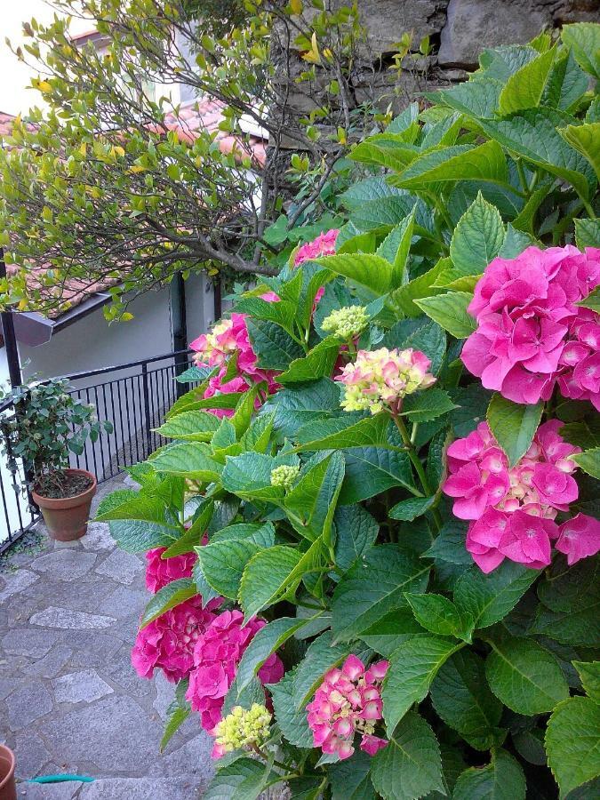 B&B I Glicini Vescina Dış mekan fotoğraf