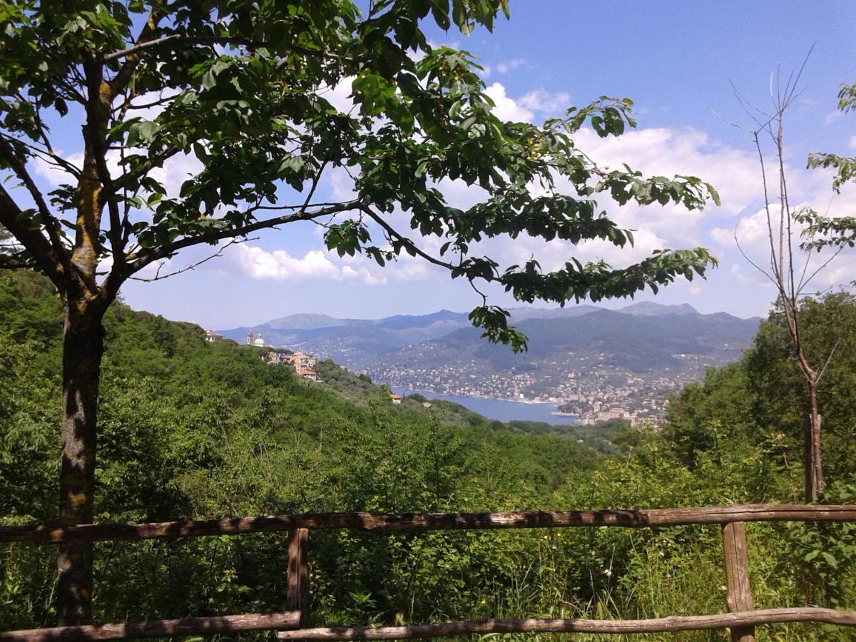 B&B I Glicini Vescina Dış mekan fotoğraf